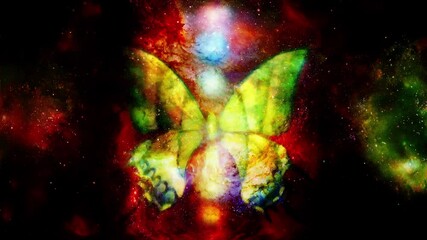 Fototapete - butterfly with light energetic chakras in cosmic space. Painting and graphic design. Loop Animation.