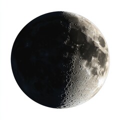 Wall Mural - Half Moon Close Up View