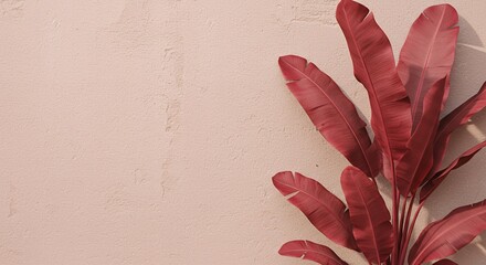 Poster - Beautiful Red Banana Plant Leaves Against a Textured Pink Wall with Shadows, Perfect for Backgrounds, Botanical and Tropical Designs