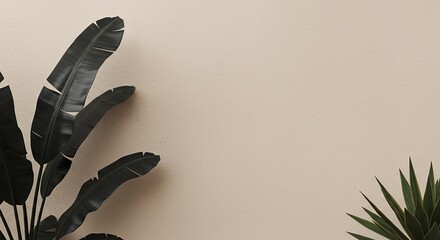 Poster - Dark Green Tropical Banana Plant Leaves Against Beige Wall Background with Yucca Plant in the Corner, Minimalist Nature Concept