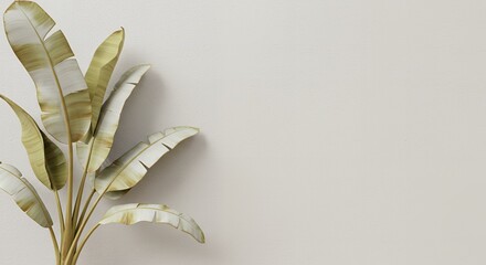 Poster - Elegant decorative banana leaves plant against a neutral wall background creating a minimalist and modern aesthetic suitable for design.