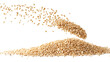 © Thomas - Sesame Seeds Falling Isolated on Transparent Background with Clipping Path