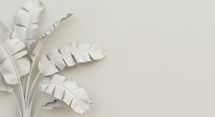 Poster - Elegant white banana leaves against a neutral background, creating a minimalist and modern aesthetic, perfect for design and artistic concepts.