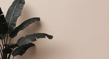 Poster - Tropical plant with large green leaves against a beige textured wall background, providing ample copy space for text, design, or branding.