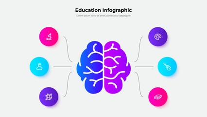 Fototapete - Two hemispheres of the brain that are responsible for science and creativity. Education infographic with 6 steps