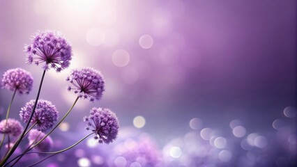 Aufkleber - Serene Purple Blooms in Soft Focus A Botanical Image of Delicate Flowers with a Dreamy, Lavender-Toned Background