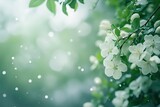 A foggy blur of cool jade and cream white light and rejuvenating