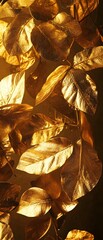 Poster - A captivating close up view of golden dried autumn leaves shimmering in the warm sunlight creating a beautiful natural pattern