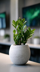 Poster - Green plant in a round, textured, off-white pot, displayed on a light surface against a blurred interior background, showcasing simplicity and natural elements