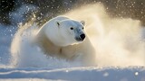 "Polar Bears in the Arctic Wildlife Habitat with Ice and Snow Landscape"