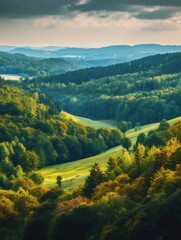 Aufkleber - 緑豊かな丘と渓谷の風景 晴れた日の自然光が照らす森林地帯のパノラマ眺望