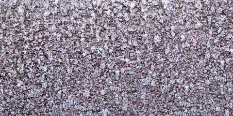 Aufkleber - Wooden log with bark covered with frost as texture background for web banner page template