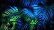 © Vance - tropical leaves illuminated with blue and green