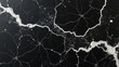 © Duy - Black Fossil marble with dark surfaces and white fossil-like patterns