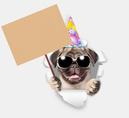 Leinwandbilder - Happy Pug puppy wearing sunglasses and party cap and looking through a hole in white paper and shows blank placard