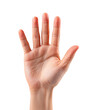 © Phanupong - Open human hand palm up five fingers showing gesture isolated transparent background