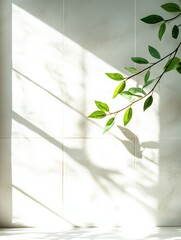 Aufkleber - Minimalist interior with sunlight and plant branch on tiled wall in neutral tones for background or mockup
