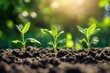 © Dream Studio - New Beginnings: Fresh Growth in Nature's Embrace