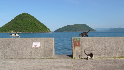 Wall Mural - 佐柳島のジャンプする猫