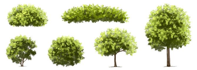 Wall Mural - vector watercolor green tree or forest side view isolated on white background for landscape and arch