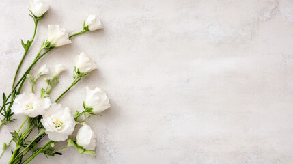 Aufkleber - Elegant arrangement of white lisianthus flowers on a light gray textured background, perfect for wedding invitations or feminine designs. : Generative AI