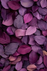 Poster - A dense collection of deep purple and mauve leaves