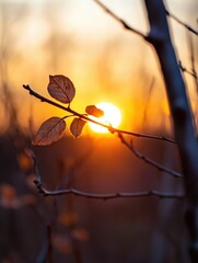 Aufkleber - Silhouette of autumn leaves on a branch, backlit by a vibrant sunset, creating a warm and serene autumnal scene. : Generative AI