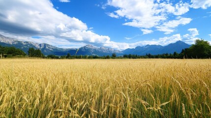 Aufkleber - Golden wheat field stretches towards majestic mountain range under a vibrant summer sky, creating a picturesque landscape. : Generative AI