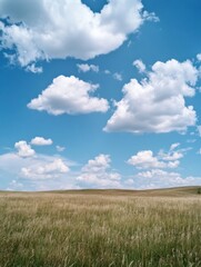 Aufkleber - Serene summer landscape featuring a gently rolling field of tall grass under a vibrant blue sky dotted with fluffy cumulus clouds. : Generative AI
