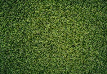 Aufkleber - High-resolution image of lush, vibrant green grass texture, perfect for backgrounds or design projects.  The dense, healthy turf shows intricate detail and natural color variations. : Generative AI