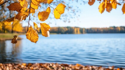 Aufkleber - Golden autumn leaves gently sway on a branch, overlooking a tranquil lake reflecting the sunny sky.  A picturesque autumnal scene. : Generative AI