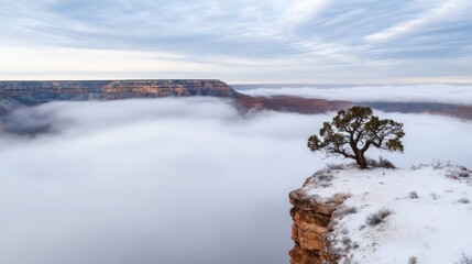 Poster - Lone juniper tree stands on a snow-covered cliff overlooking a fog-filled Grand Canyon at sunrise, showcasing the dramatic beauty of nature's winter landscape. : Generative AI