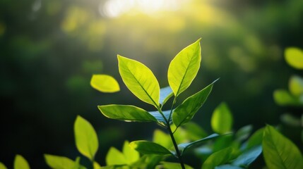 Aufkleber - Vibrant green leaves illuminated by sunlight, showcasing their delicate texture and natural beauty in a lush, outdoor setting. : Generative AI