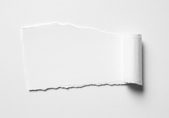 Poster - Torn white paper with curled edge on a white background, close up