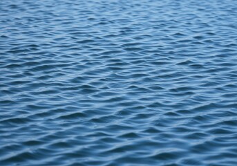 Poster - Gentle ripples on the surface of blue water creating a calming effect