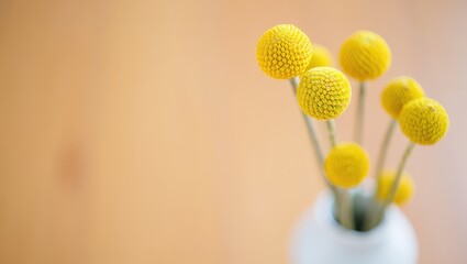 Aufkleber - A small vase holding yellow flowers on a wooden table.