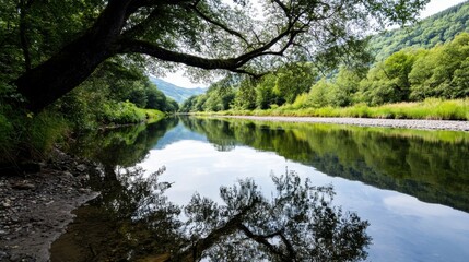 Poster - Serene river reflecting lush green trees and hills under a tranquil sky, creating a picturesque natural landscape. : Generative AI
