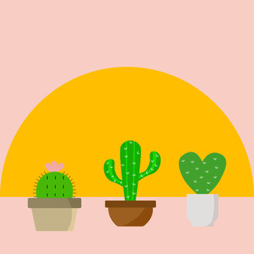 Three potted cactus against a backdrop of a yellow semi circle and a pink background.