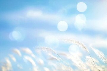 Poster - Soft Focus of Grass Against a Bright Blue Sky with Bokeh Sunlight Creates an Abstract and Serene Nature Background