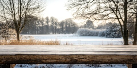 Poster - Scenic Winter Landscape Featuring Snow Covered Wooden Bench with Distant Flying Birds in a Frosty White Scenic Nature Background on Bright Day
