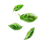 Fresh basil leaves floating in the air, showcasing their vibrant green color and detailed textures