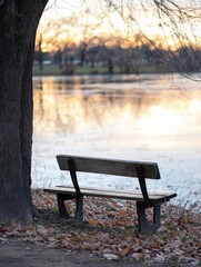 Poster - A solitary wooden bench sits beneath a tree beside a tranquil lake at sunset, fallen leaves scattered on the ground, creating a serene autumnal scene. : Generative AI