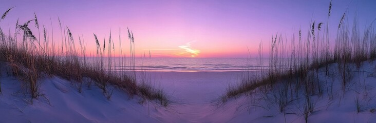Aufkleber - Serene sunset over a tranquil beach, viewed through tall beach grasses on a sand dune, showcasing a peaceful coastal scene. : Generative AI