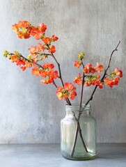 Aufkleber - Vibrant orange quince blossoms arranged in a rustic glass jar against a textured gray backdrop, creating a simple yet elegant spring floral still life. : Generative AI