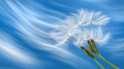 Aufkleber - White Dandelion Seeds Against a Blue Swirling Background