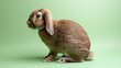 © karinah - Brown rabbit on green background