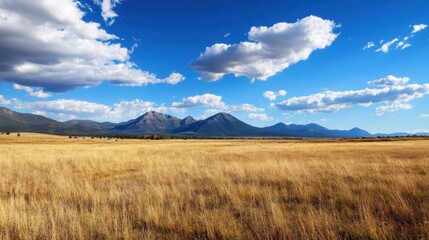 Aufkleber - Golden grassland stretches towards a majestic mountain range under a vibrant blue sky, dotted with fluffy white clouds.  A picturesque landscape of nature's beauty. : Generative AI