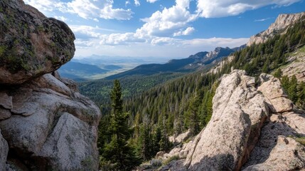 Aufkleber - Majestic mountain vista: a panoramic view of a vast evergreen forest nestled between towering rocky outcrops under a partly cloudy sky. : Generative AI