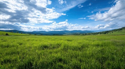 Poster - Serene landscape featuring a vast, verdant meadow stretching towards a picturesque mountain range under a vibrant blue sky dotted with fluffy white clouds. : Generative AI