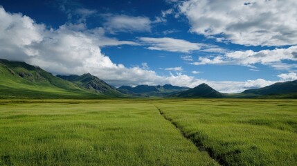 Poster - Vast green meadow stretches towards majestic mountains under a vibrant blue sky, dotted with fluffy white clouds. A faint path cuts through the tall grass, leading the eye towards the  : Generative AI